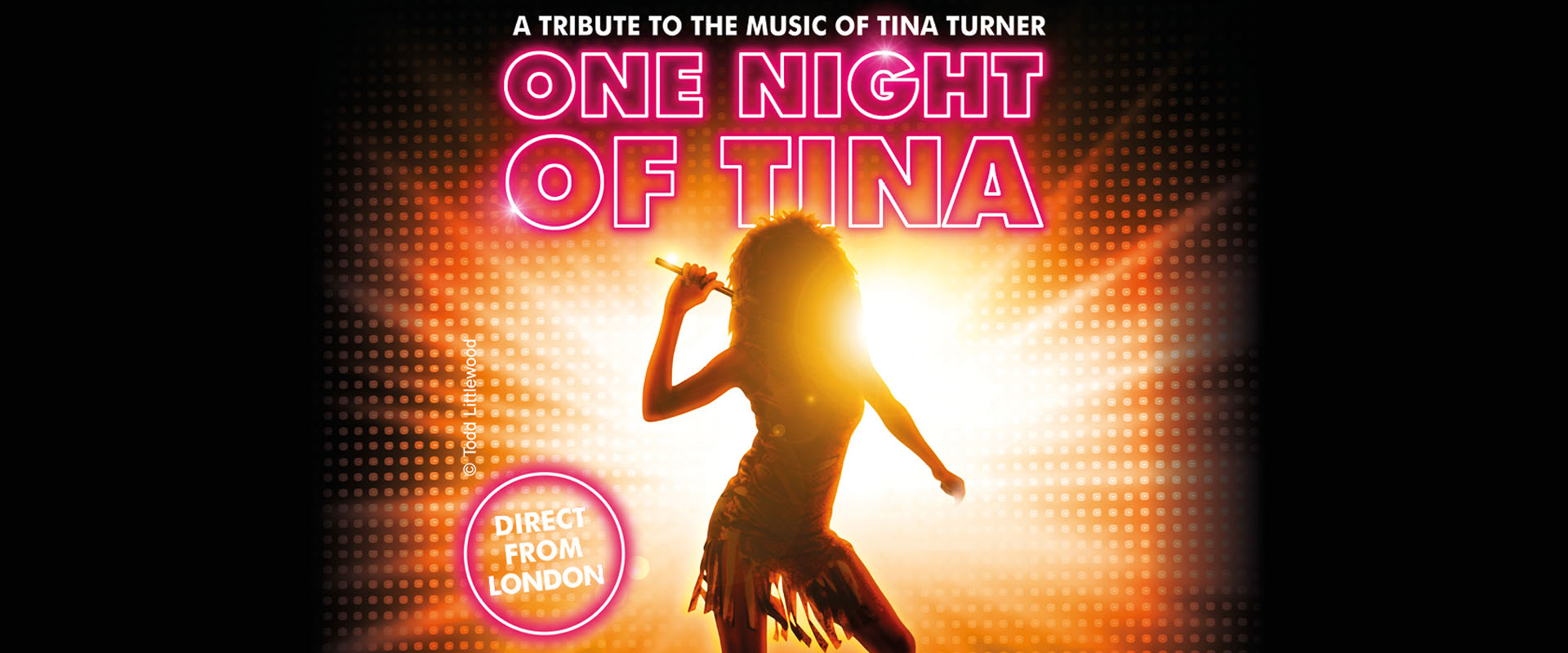 One night of Tina Turner